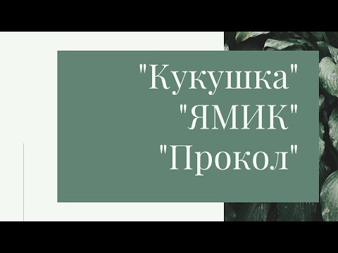 Видео: "Кукушка" , "ЯМИК", "Прокол"