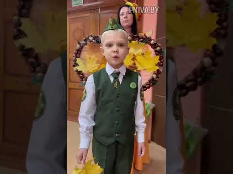 Видео: Воспитанники детского сада агрогородка Кадино пополнили ряды юных лесоводов