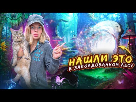 Видео: МЫ НАШЛИ ЭТО В ЗАКОЛДОВАННОМ ЛЕСУ С КОТОМ
