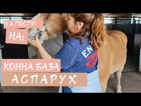 Видео: На гости на: Конна база Аспарух - урок по езда със Зори