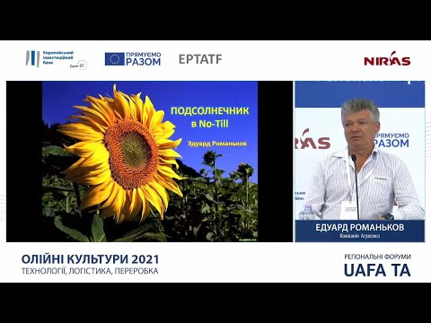 Видео: Выращивание подсолнечника по No-Till - как достичь успеха? Эдуард Романьков
