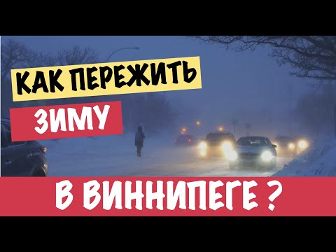 Видео: ❄️ Как пережить зиму в Виннипеге, Манитоба, Канада? ☃️