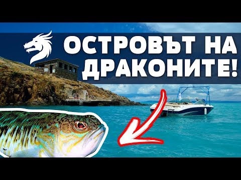 Видео: OСТРОВЪТ НА ДРАКОНИТЕ! Уникални находки на о.Свети Иван! Най-отровните риби около Созопол ЕП. 2