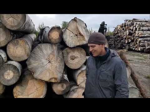 Видео: Выбираем сруб из бревна. Что нужно знать, чтобы получить качественный сруб ручной рубки без гнили.