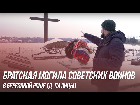 Видео: Братская могила советских воинов в Березовой роще (д. Палицы)