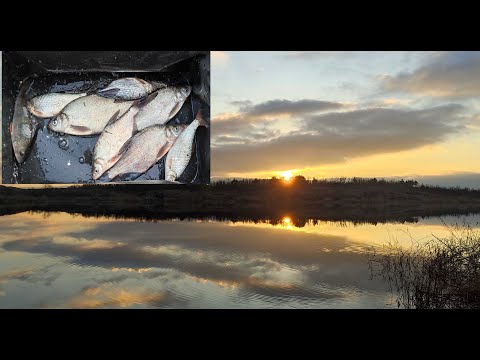 Видео: Открытие нового рыболовного сезона 2024. Фидер. Бердянское водохранилище  06 01 2024