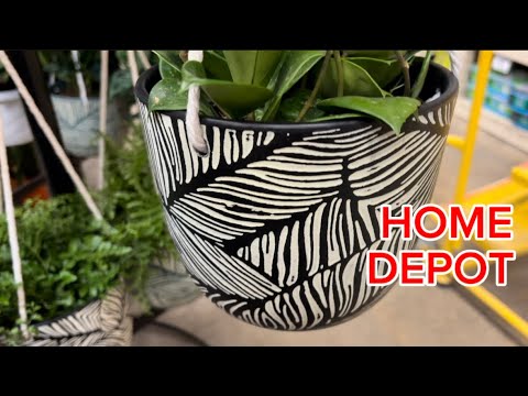 Видео: Home Depot|Те же растения в новых горшках❤️:#растения #декоррастений #комнатныерастения