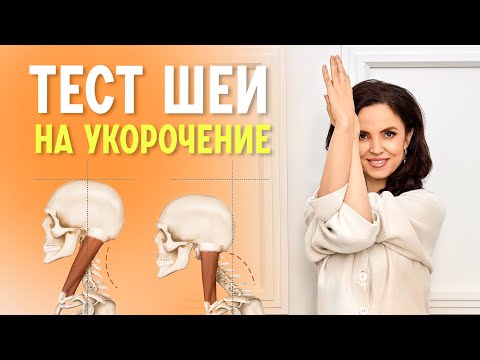 Видео: Как определить укорочение задней поверхности шеи