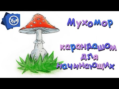 Видео: Рисунки карандашом Грибы Мухоморы // Рисунки поэтапно