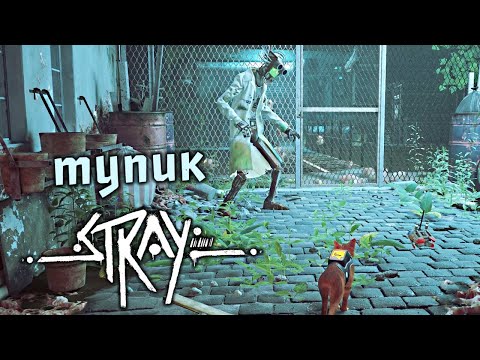 Видео: Stray Прохождение (4) - [Тупик. Спасти Дока. Дефлюксор. Канализация]