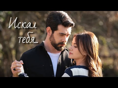 Видео: Баран и Дилан - Искал тебя...