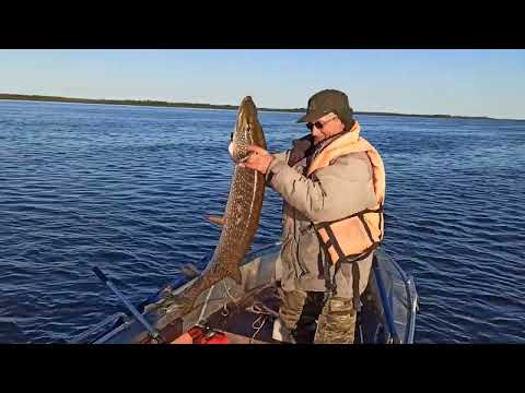 Видео: Ловля щуки с лодки в отвес. (шаромыга).