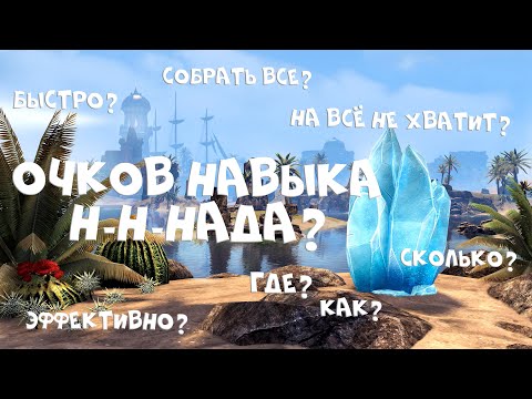 Видео: Очки навыка в TESO | Где и как получать?