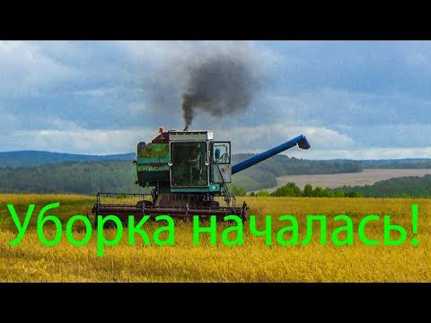 Видео: Начало уборочной. Чуть не загорелся комбайн