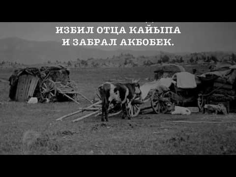 Видео: Жадау кок