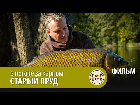 Видео: ⭐ КАРПФИШИНГ на ДИКОМ ПРУДУ или ТРОФЕЙНАЯ ловля карпа ОСЕНЬЮ! ФИЛЬМ