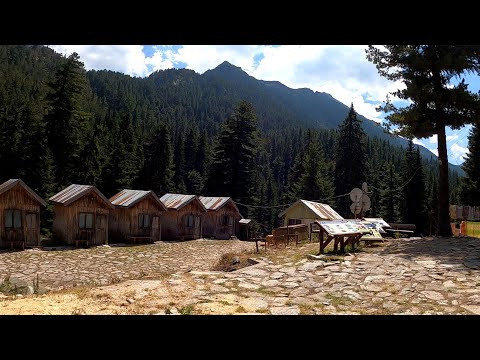 Видео: Компас /45/  Тодорова орница - хижа "Демяница"