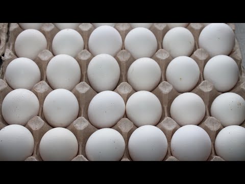 Видео: ПРОФЕССИОНАЛЬНЫЙ РЕЖИМ ИНКУБАЦИИ КУРИНЫХ ЯИЦ!