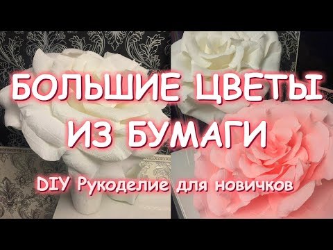 Видео: БОЛЬШИЕ ЦВЕТЫ ИЗ ГОФРОБУМАГИ МАСТЕР КЛАСС