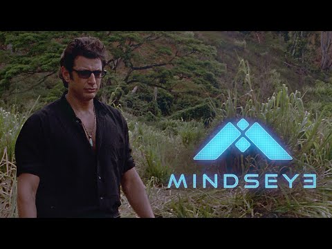 Видео: Икона некомпетентности /MindsEye