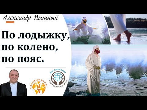 Видео: По лодыжку, по колени, по пояс. Александр Пышный.