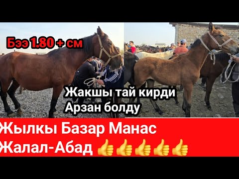 Видео: Жылкы Базар Жалал-Абад Манас 