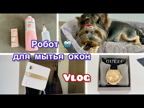 Видео: Мой новый помощник//Ждем пополнения//Мои покупки 🛍️ #vlog 