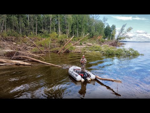 Видео: ОКУНИ КАБАНЫ НА ДЖИГ, КРОКОДИЛ В ДРОВАХ ПОРВАЛ ШНУР-САНЯ -КОСЯК))!! Рыбалка на Оби ,щука.