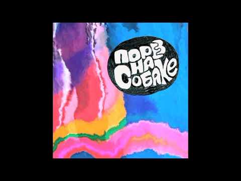 Видео: Порез На Собаке - Тяжелый Яд (инструментал с лайва 2025.08.10)