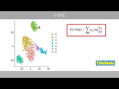 Видео: Объяснение t-SNE: визуализация многомерных данных