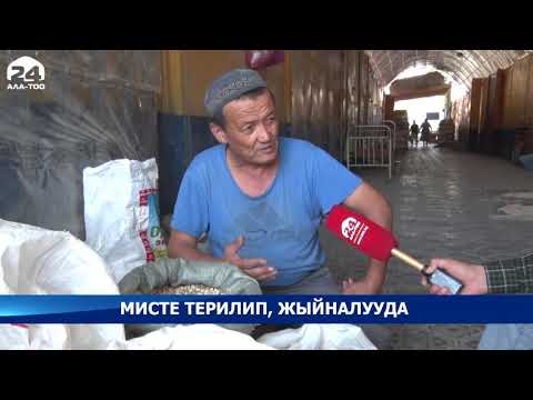 Видео: Мисте терилип, жыйналууда / ЭЛ ДЕМИ