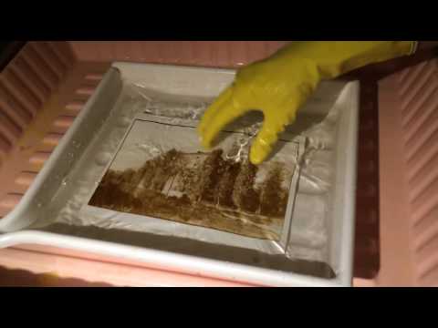Видео: B&W print, sepia toning - Тонирование в сепию черно-белых отпечатков