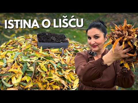 Видео: Использование ЛИСТЬЕВ в Саду Правильным Образом