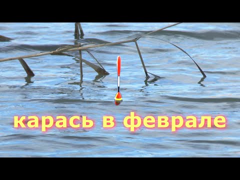 Видео: Февральский карась на поплавок. Ловля карася по холодной воде