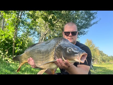 Видео: ЛОВЛЮ ТРОФЕЙНОГО КАРПА ОСЕНЬЮ ! НВЫЙ РЕКОРД ВОДОЕМА ! РЫБАЛКА НА КАРПА И АМУРА !  РЫБАЛКА 2025 !