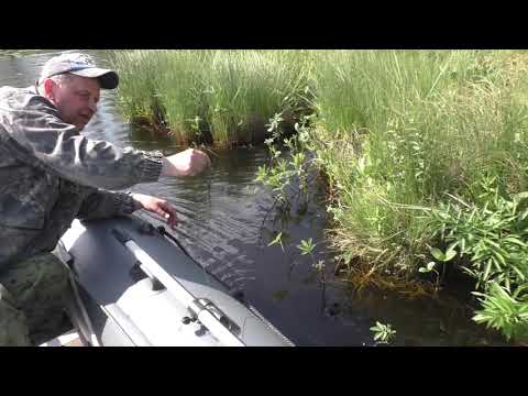 Видео: Отдых  июне на лесном озере! Виктор в ударе!