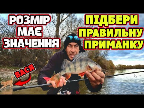 Видео: 🍁 ЯКИЙ РОЗМІР ПРИМАНКИ СПОКУШАЄ ОКУНЯ У ХОЛОДНУ ПОРУ РОКУ 🍁