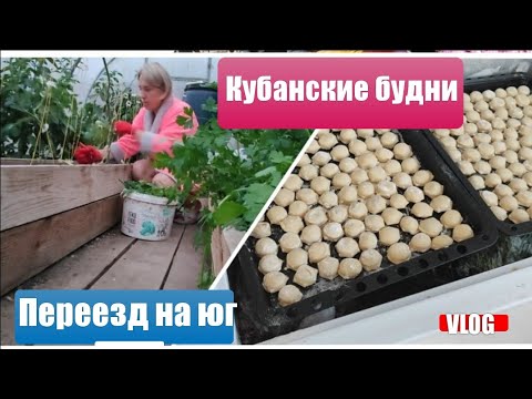 Видео: Влог# 668 Переезд на ЮГ 🌞Кубанские будни нашей семьи 🙌
