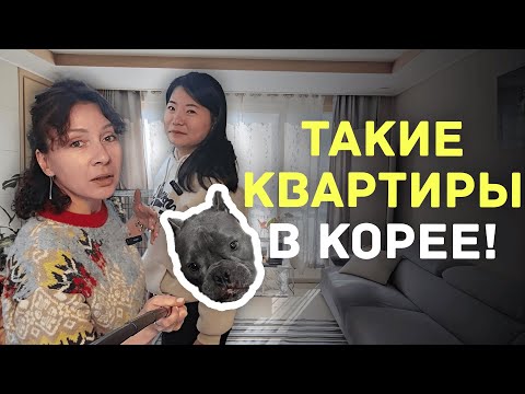 Видео: Такие квартиры в Корее!