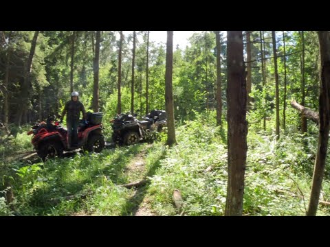 Видео: НА КВАДРОЦИКЛАХ ПО ЛЕСУ- МНОГО ВОДЫ🌳 чистим лес