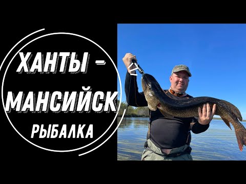 Видео: РЫБАЦКОЕ ПУТЕШЕСТВИЕ НА СЕВЕР СИБИРИ! Рыбалка на озёрах ХМАО - ХАНТЫ ЧАСТЬ 1. ЩУКА. ОКУНЬ. ОТДЫХ.