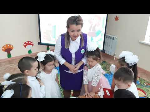 Видео: Ғажайып математика "Түймедақ"мектепалды даярлық тобы