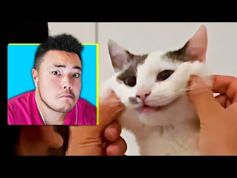 Видео: 😂 ПОПРОБУЙ НЕ ЗАСМЕЯТЬСЯ ЧЕЛЛЕНДЖ! Реакция Райма
