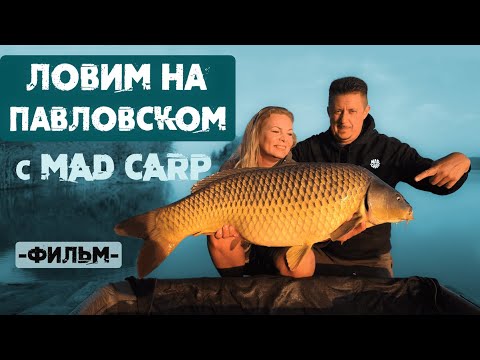 Видео: Ловим на Павловском с Mad Carp. Секреты чемпионов.