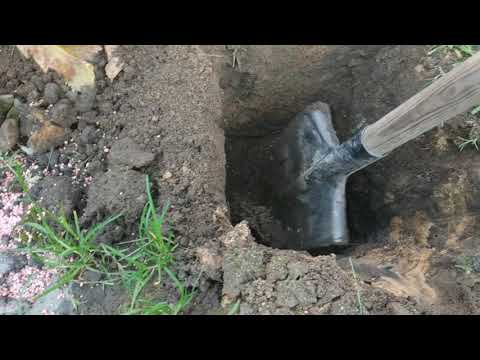 Видео: Дренажные ямы для полива и подкормки винограда