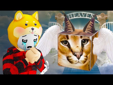 Видео: ШЛЁПЫ БОЛЬШЕ НЕТ...