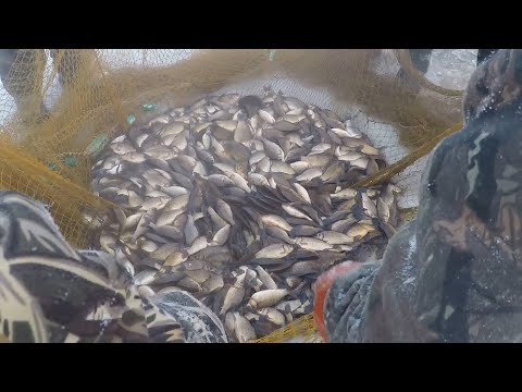 Видео: Экстремальная зимняя рыбалка в Якутии!