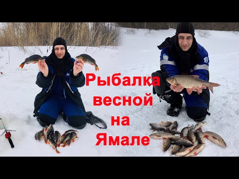 Видео: Все особенности и трудности весенней рыбалки на Ямале. Расширенная версия. Зимняя рыбалка.