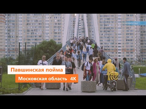 Видео: ПАВШИНСКАЯ ПОЙМА, МЯКИНИНО, КРАСНОГОРСК, 4К