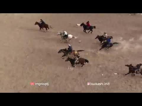 Видео: Ҳоҷи Акбор човандози Ш,Ҳисор аспи Н,Воъсе асп бо лақаби Паланг